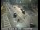 Webcam in South Lake Tahoe, California, 136.4 km