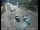 Webcam in South Lake Tahoe, California, 1.1 mi away