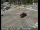 Webcam in South Lake Tahoe, Californie, 23.9 km