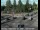 Webcam in South Lake Tahoe, California, 53.9 km