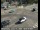 Webcam in South Lake Tahoe, Californien, 165.3 km