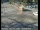 Webcam in South Lake Tahoe, California, 2.8 km
