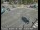 Webcam in South Lake Tahoe, Californie, 49.6 km