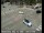Webcam in South Lake Tahoe, California, 54.2 km