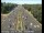 Webcam in Sacramento, California, 36.7 km