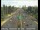 Webcam in Sacramento, California, 32.4 mi away