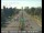 Webcam in Sacramento, California, 40 mi away