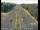 Webcam in Sacramento, California, 11 mi away