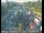 Webcam in Sacramento, California, 36.7 km
