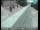 Webcam in Alturas, California, 49.5 mi away
