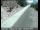 Webcam in Alturas, California, 298.8 km
