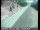 Webcam in Alturas, Kalifornien, 221.7 km entfernt