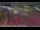Webcam in Anaheim, California, 6.8 mi away