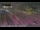 Webcam in Anaheim, California, 5.3 mi away