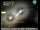 Webcam in Anderson, California, 21.1 mi away