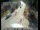Webcam in Tahoe Vista, California, 19.3 mi away