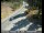 Webcam in Tahoe Vista, California, 8.9 mi away