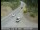 Webcam in Tahoe Vista, California, 19.3 mi away