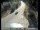 Webcam in Tahoe Vista, California, 13.4 km
