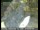 Webcam in Tahoe Vista, California, 36.1 km