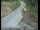 Webcam in Tahoe Vista, California, 9.8 mi away