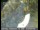 Webcam in Tahoe Vista, California, 4.8 mi away