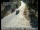Webcam in Tahoe Vista, California, 25.3 km
