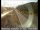 Webcam in Truckee, California, 11.8 km