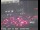 Webcam in San Francisco, California, 9.5 km