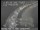 Webcam in San Francisco, Kalifornien, 11.9 km entfernt