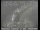 Webcam in San Francisco, California, 7.5 mi away