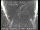 Webcam in San Francisco, California, 11.6 km