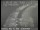 Webcam in San Francisco, Kalifornien, 11.9 km entfernt