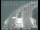 Webcam in San Francisco, California, 14.2 km
