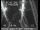 Webcam in San Francisco, Californien, 3.8 km