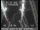 Webcam in San Francisco, California, 6.5 km