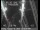 Webcam in San Francisco, Californien, 5.8 km