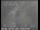 Webcam in San Francisco, California, 14.2 km
