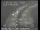 Webcam in San Francisco, Kalifornien, 1.9 km entfernt