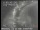 Webcam in San Francisco, California, 17.8 km