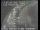 Webcam in San Francisco, Californien, 21 km