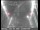 Webcam in San Francisco, California, 14.2 km