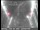 Webcam in San Francisco, California, 10 km