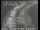 Webcam in San Francisco, California, 14.2 km