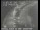 Webcam in San Francisco, California, 10.6 mi away