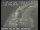 Webcam in San Francisco, California, 19.3 km