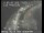 Webcam in San Francisco, California, 14.2 km