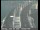 Webcam in San Francisco, California, 1.9 mi away