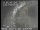 Webcam in San Francisco, California, 1.9 mi away