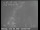 Webcam in San Francisco, California, 11.3 km